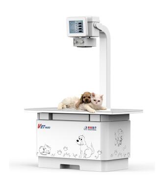 獸用DR檢查什么？哪個(gè)生產(chǎn)廠家好