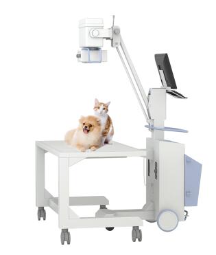 寵物dr與寵物彩超有什么區別?哪種檢查好