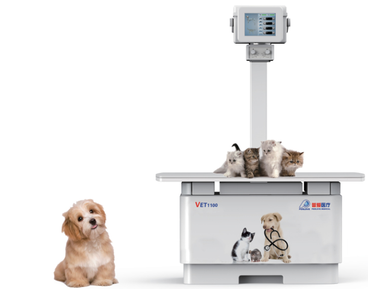 如何選擇寵物DR機?先了解這4點參數(shù)