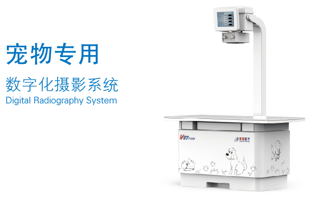 寵物數字DR 寵物數字DR